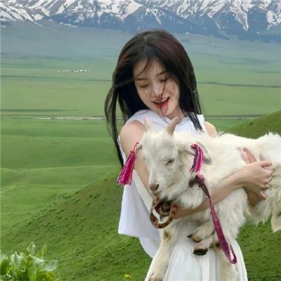 如果历史是一群喵第六季